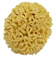 SEA WOOL SPONGES
