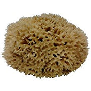 SEA WOOL SPONGES