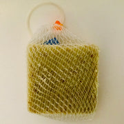 SOAP NETS