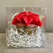 POINSETTIA CANDLES - Available by special order